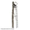 Big Game Big Boss 1.5 Person Ladder Stand (18 Ft.)