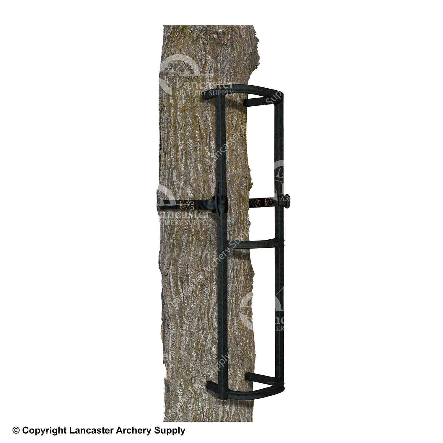 Muddy Stagger-Step Climbing System (1 Section) 3 Muddy Stagger-Step Climbing System (1 Section)