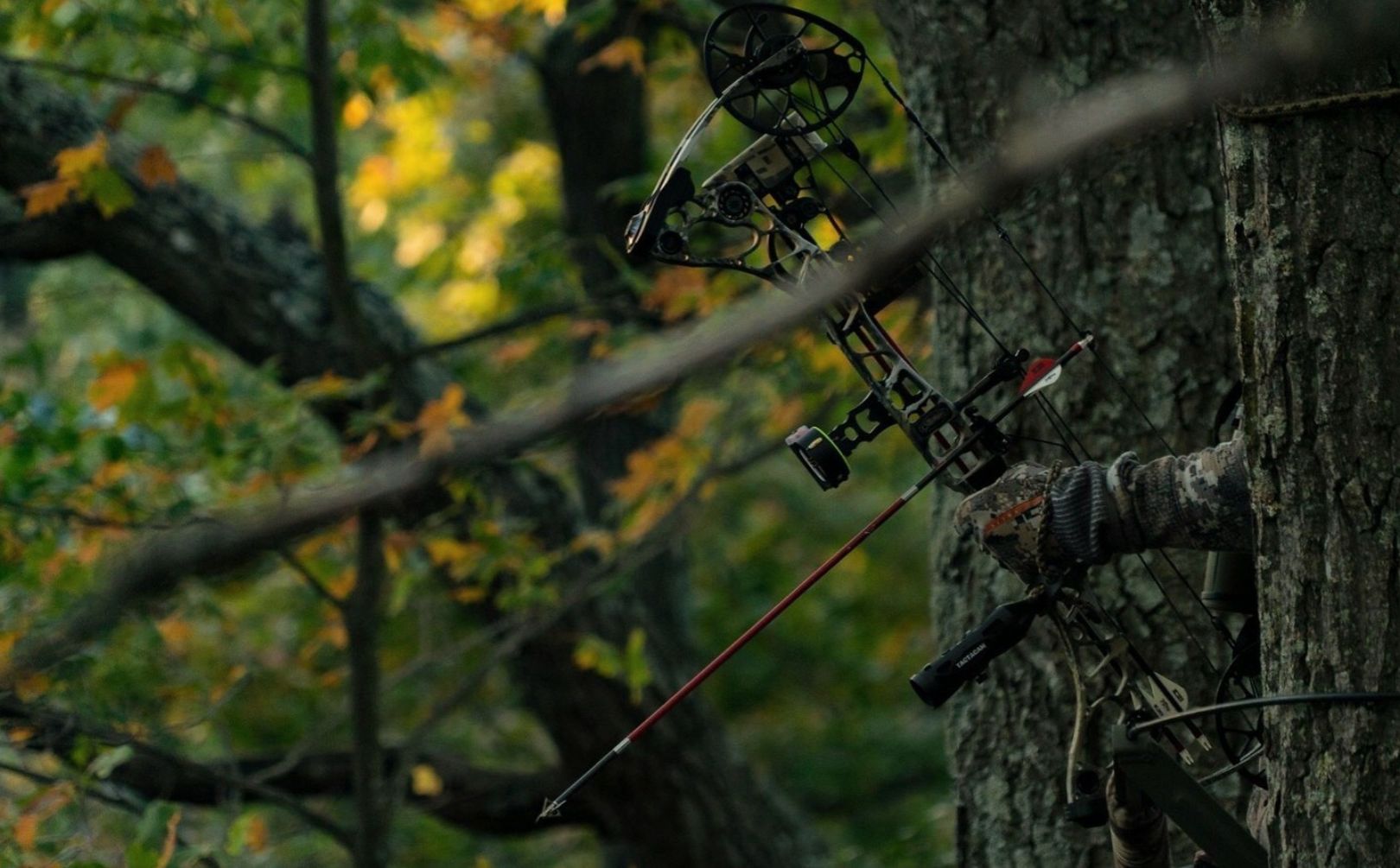 Hunting Gear Shop -Hunting Gear Shop IMG 20171025 081541